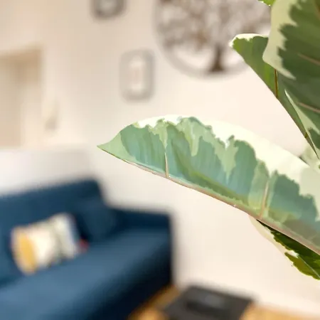 Beauconcept Apartamento Nantes