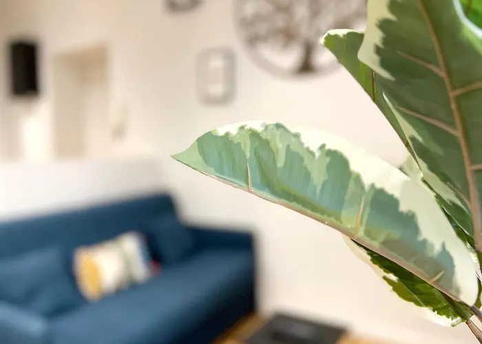 Beauconcept, Centre Apartman Nantes