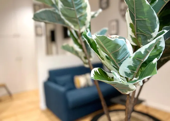 Beauconcept, Centre *