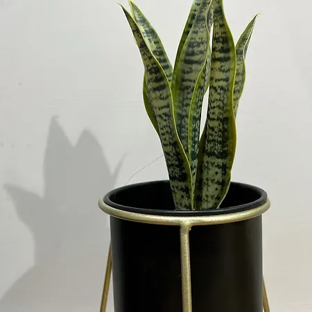 Beauconcept
